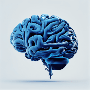 Cognitive High School Memory Enhancement Training